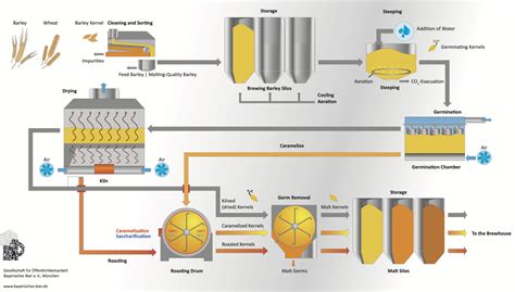 malting process.